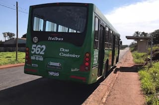 Robó un celular en un colectivo, escapó por una ventanilla y murió