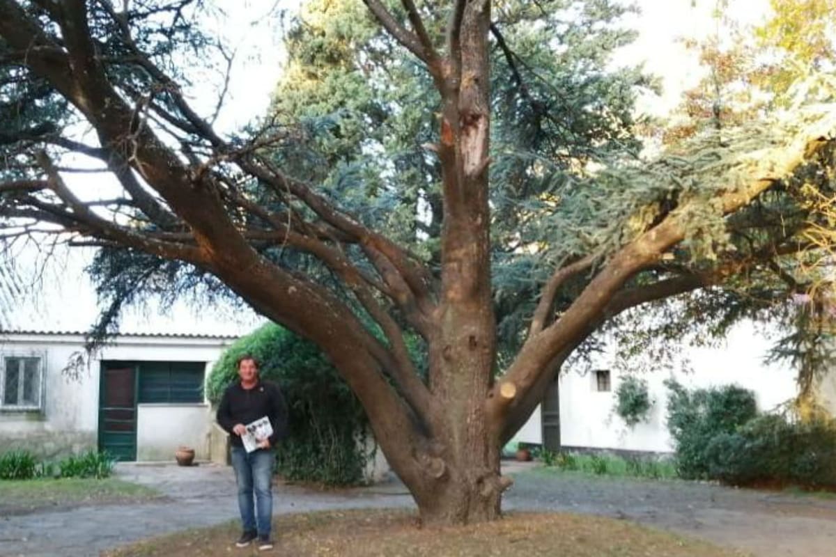 El asesor de 46 años fue un autodidacta, aprendió y observó de sus maestros