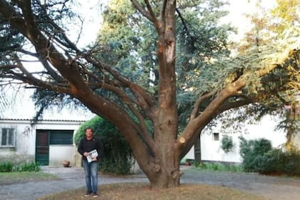 El asesor de 46 años fue un autodidacta, aprendió y observó de sus maestros