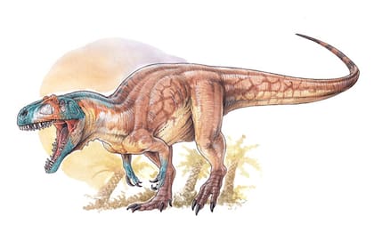 El Asfaltovenator vialidadi vivió hace 170 millones de años en la Patagonia argentina; medía ocho metros de largo y, según los científicos, representa un momento de explosión evolutiva en el que se diversificaron los dinosaurios