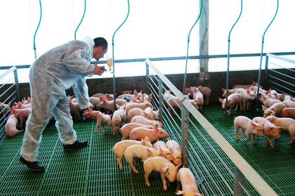 El asociativismo ofrece una salida virtuosa: cada parte se concentra en lo que sabe hacer, mejora su eficiencia y reinvierte en su propio eslabón de la cadena