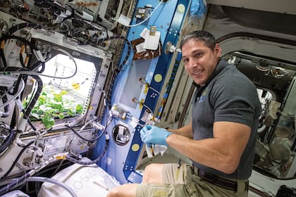 El astronauta Michael Hopkins y su plantación de rabanitos en la Estación Espacial Internacional (ISS)