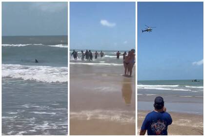 El ataque de tiburón en Texas deja al menos dos heridos