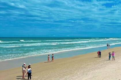 El ataque del escualo ocurrió en New Smyrna Beach, poco antes de las 16 hs de este jueves 4 de julio (Foto ilustrativa)
