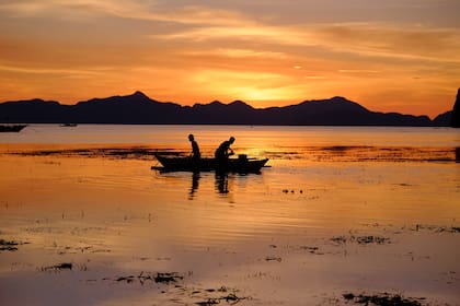 El ataque del tiburón ocurrió en la Bahía de Tóbari, del estado mexicano de Sonora