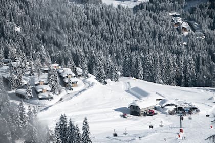El ataque ocurrió el pasado 10 de diciembre en un establecimiento ubicado en Campo Carlo Magno, en los Alpes italianos, dentro de la provincia de Trento