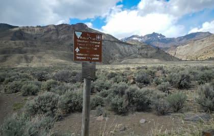El ataque se produjo en Bobcat Houlihan Trail, Cody