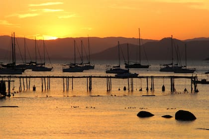El atardecer es el momento álgido del día en Santo Antonio de Lisboa, Floripa; en la foto: los criaderos de ostras en el mar, que luego llegan a la mesa de los restaurantes