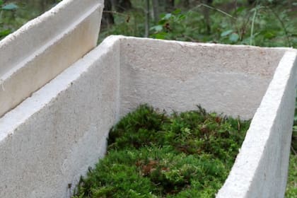 El ataúd está hecho de raíces de hongos y se convierte en un reciclador natural que neutraliza toxinas y permite que el cuerpo se convierta en compost beneficioso para la tierra, para que de la muerte vuelva a surgir la vida