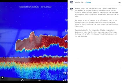 El Atlantic Shark Institute (Instituto de Tiburones del Atlántico) confundió un enorme banco de peces con un megalodón