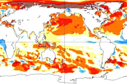 El Atlántico está muy caliente, según los expertos