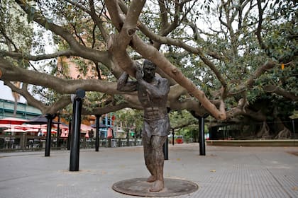 "El Atlas", la escultura que sostiene el gomero de Recoleta