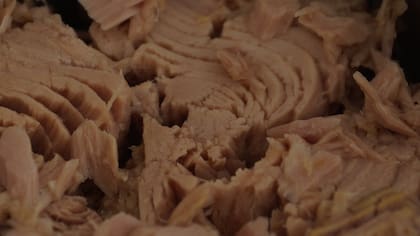 El atún tiene un gran valor nutricional y se destaca por ofrecer proteínas magras