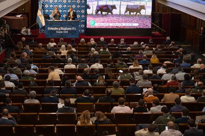 El auditorio del Banco Nación, el público y la hacienda televisada para el remate