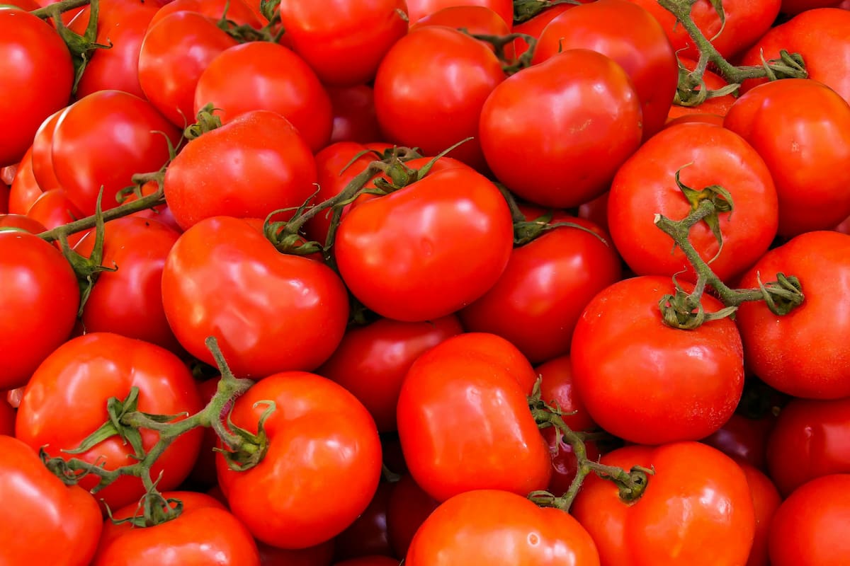 El aumento en alimentos impactó en el índice de precios mayoristas de febrero