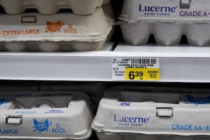 El aumento en los precios de los huevos se debe principalmente a una crisis de abastecimiento (Archivo)