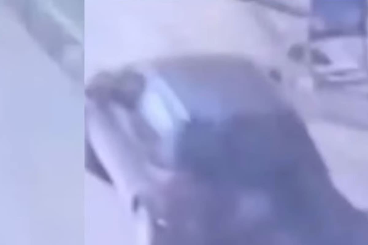 O caso de Agostina Vega: o momento em que Barrelier entrou em campo aberto onde foram encontrados os restos mortais da adolescente