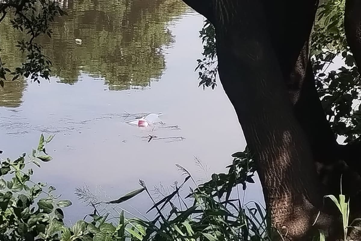 El auto sumergido en el río