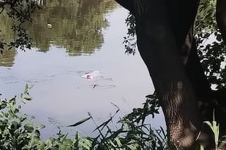 Se le cruzó una moto, perdió el control del auto y cayó al Riachuelo