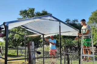 El pueblo que ganó un concurso y creó un invernadero comunitario