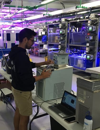El autor principal del estudio, Andres Marquez, realiza experimentos en el Instituto Hakai, parte de la Fundación Tula, con sede en Columbia Británica, Canadá