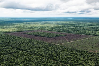 El avance de la frontera agropecuaria sobre los bosques nativos demanda un mayor cumplimiento de la ley de bosques que protege esos ecosistemas