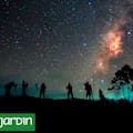 Cómo el exceso de iluminación transforma el cielo nocturno y afecta a los seres vivos