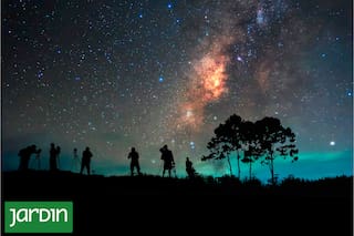 Cómo el exceso de iluminación transforma el cielo nocturno y afecta a los seres vivos