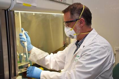 El avance del coronavirus en el mundo