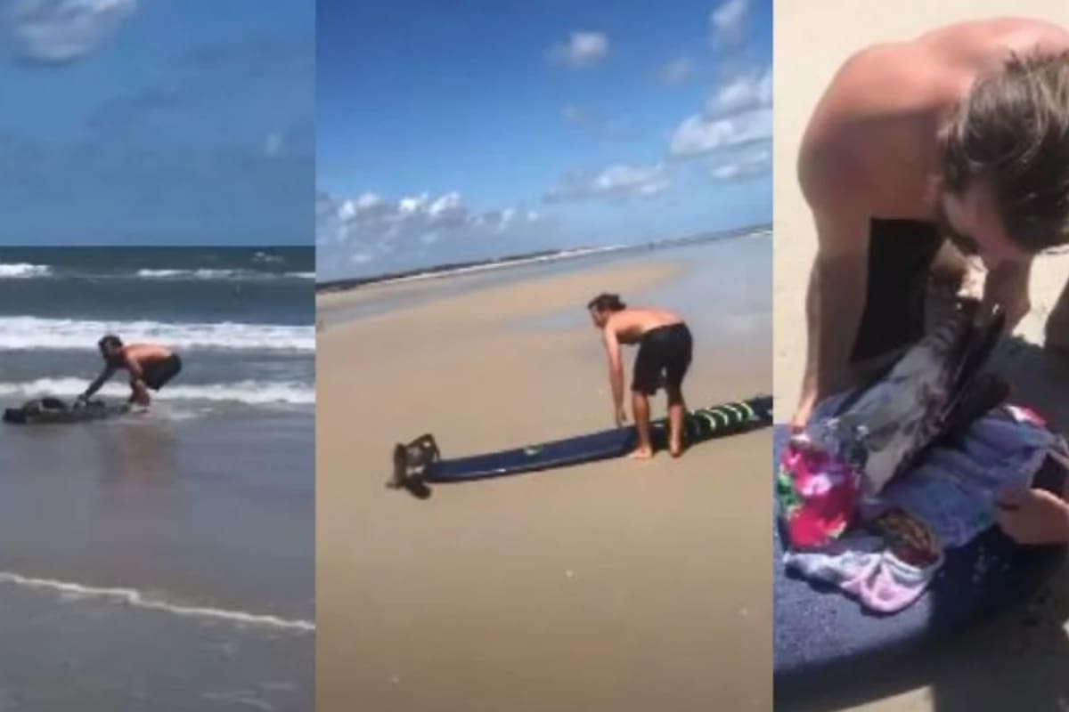 El ave había quedado atrapada con una red en el agua. Fuente: underonabove