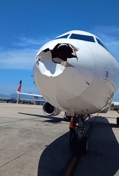 El avión de LATAM Airbus A321 chocó contra un ave