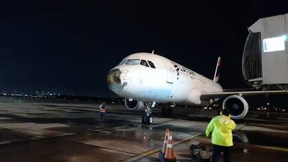 El avión en la pista, ya aterrizado
