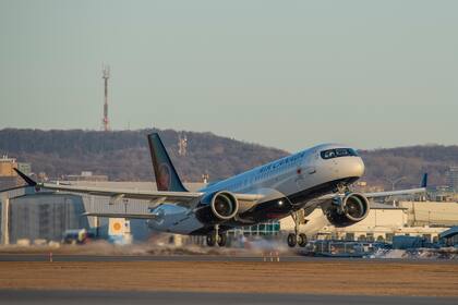 El avión tuvo que hacer un aterrizaje de emergencia para que la policía pudiera controlar la situación (Foto ilustrativa)