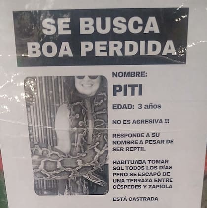 El aviso que se pegó en las calles de Colegiales