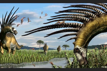 El Bajadasaurus pronuspinax tenía largas y finas espinas a lo largo del cuello y medía alrededor de nueve metros