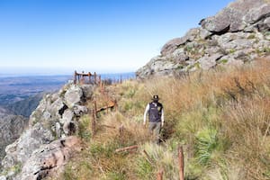 El parque nacional que renace después de un incendio y un cierre de siete meses