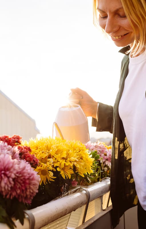 El balcón tiene su propio microclima y las condiciones para las plantas pueden cambiar en pocas horas
