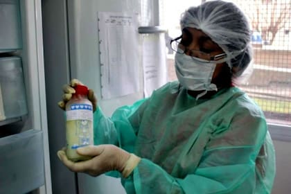El Banco de Leche de La Plata se creó el 15 de mato de 2007 y funciona en el Hospital San Martín. Desde entonces, y hasta el 31 de julio pasado, recibió 9453,4 litros de leche de 5117 donantes, que alimentaron a 5146 bebés