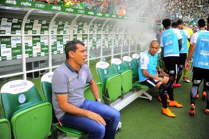 El banco de suplentes visitante del Arena Palmeiras, fumigado