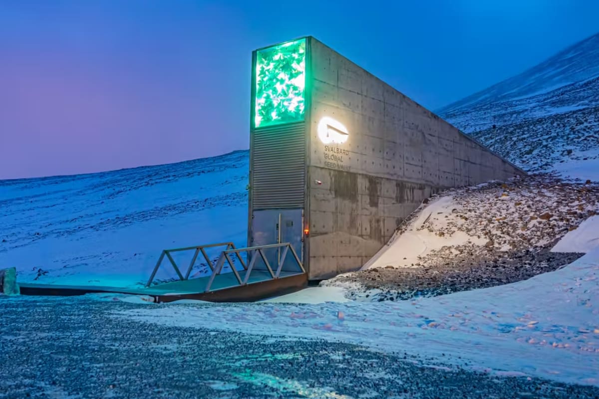 El Banco Mundial de Semillas de Svalbard es un almacén subterráneo situado en la isla de Spitsbergen, en el archipiélago noruego de Svalbard