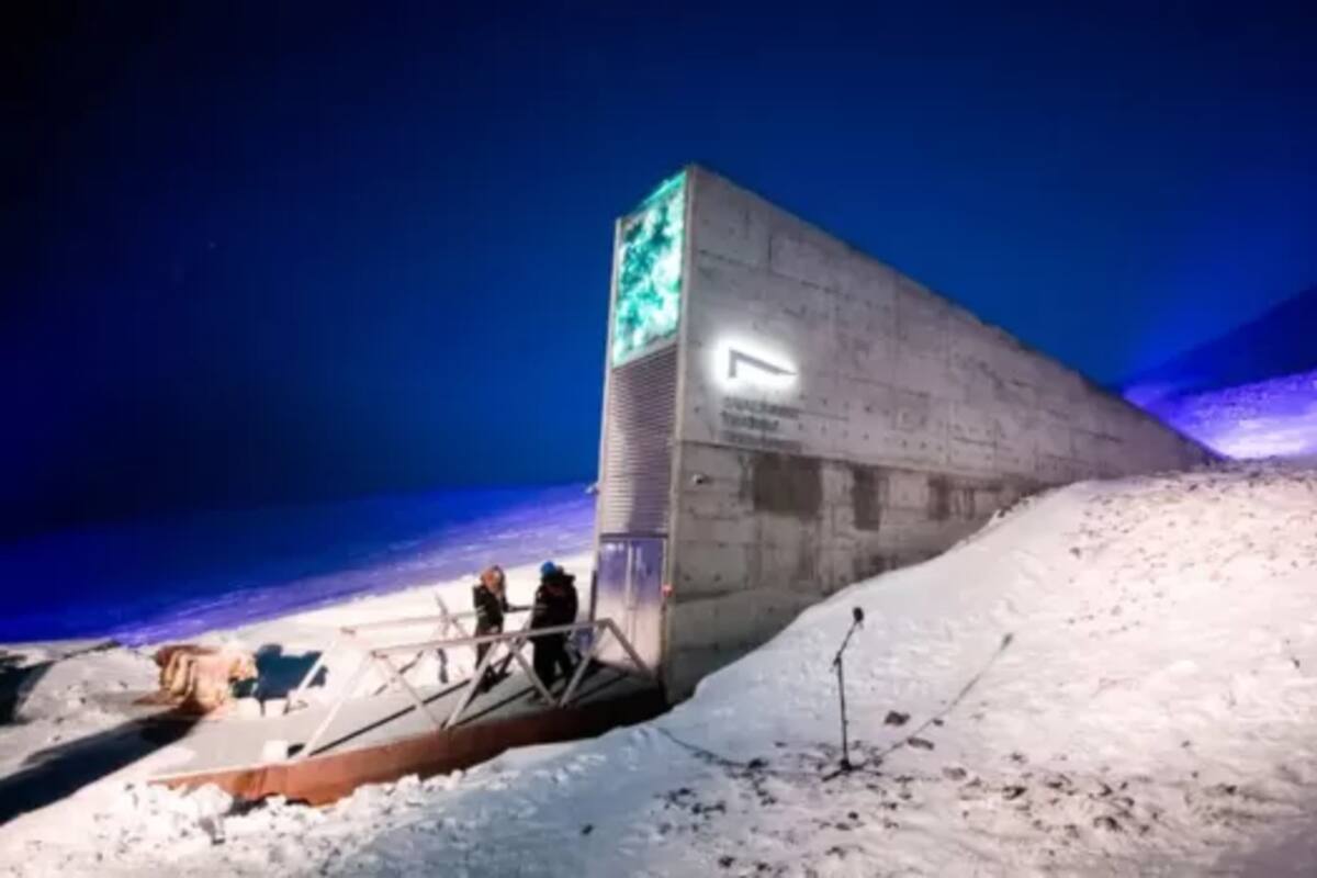 El Banco Mundial de Semillas de Svalbard se encuentra en el Ártico.