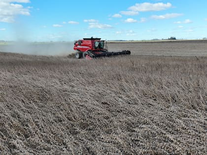 El Banco Mundial destacó la recuperación de las exportaciones agrícolas tras la sequía de 2023