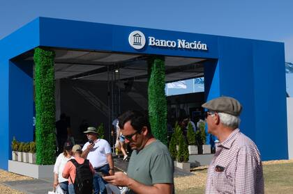 El Banco Nación concentró un gran caudal de créditos