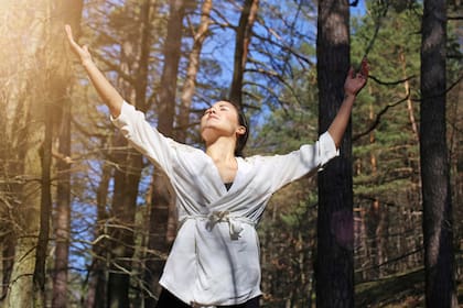 El baño de bosques es una forma de reconectar con la naturaleza para mejorar nuestra salud física y mental