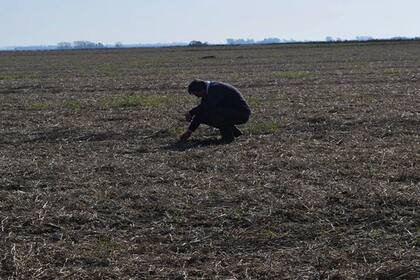 El barbecho es un momento clave