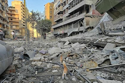 El barrio de Haret Hreik, al sur de Beirut, fue atacado por Israel el 24 de marzo durante bombardeos nocturnos