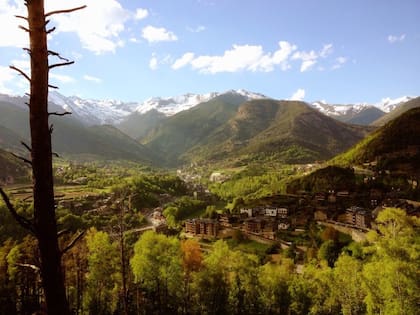 El 92% de su territorio son tierras forestales