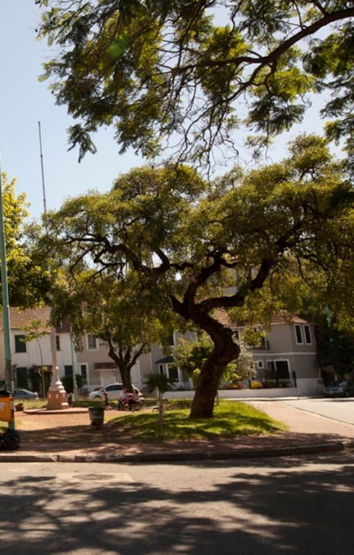 El barrio Rawson es un triángulo residencial delimitado por las calles Tinogasta, Zamudio y Avenida San Martín