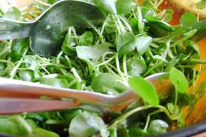 El berro es un “tesoro nutritivo y medicinal” por sus altas y concentradas dosis de nutrientes