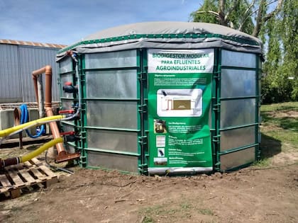 El biodigestor para la prueba piloto